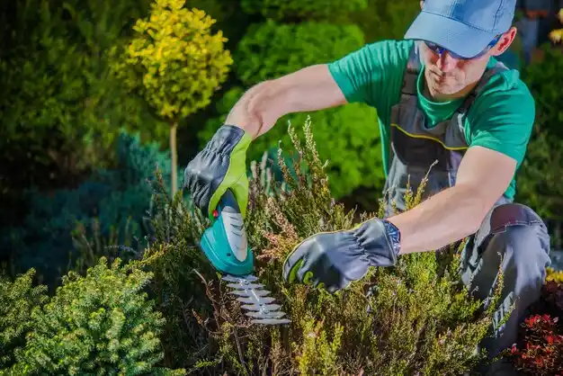 landscaping services New Melle